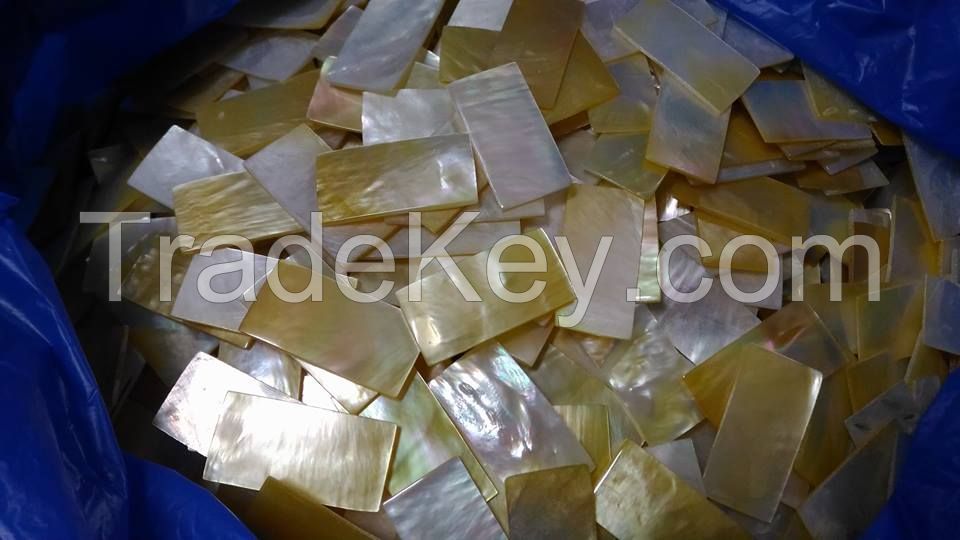 Sea shell blanks for inlays