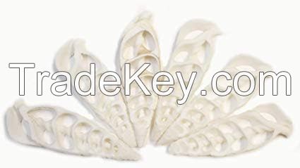 Cut Sea shell slices