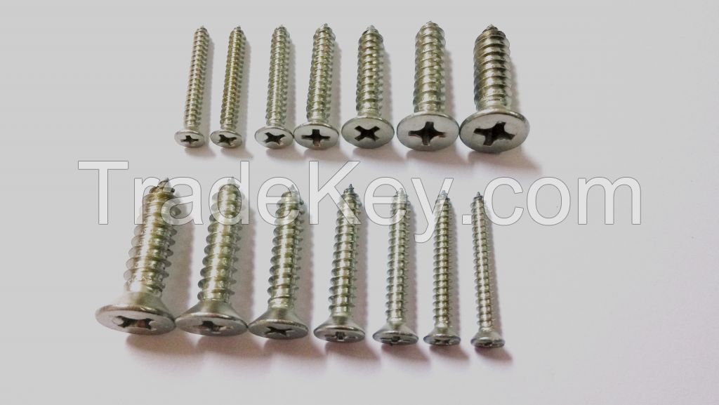 Cross Recessed Countersunk Head Self Tapping Screw