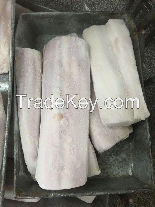 BLUE SHARK FILLET