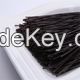 Organic Black Soybean Noodle Gluten Free