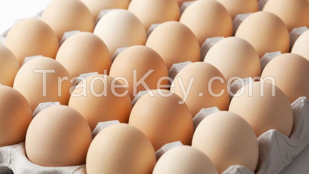 Fresh Chicken Brown & White Table Eggs