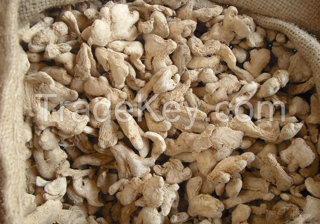 Dried Ginger Whole Peeled