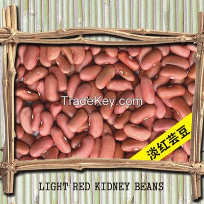 White Kidney Bean