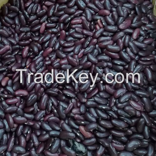 Dark Red Kidney Bean