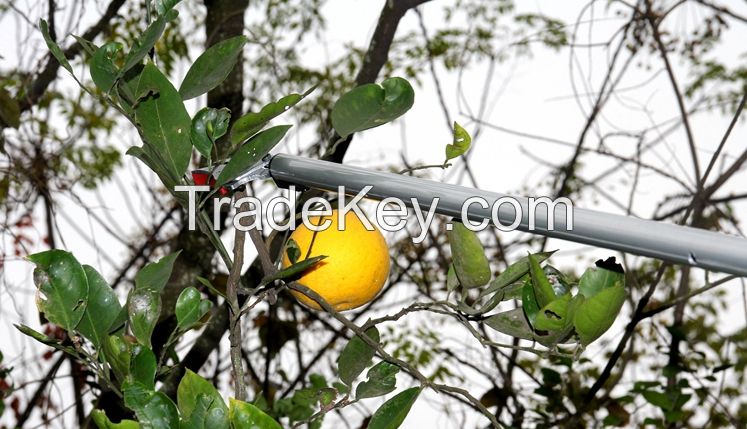 aluminum handlel telescopic high tree branches pole pruner