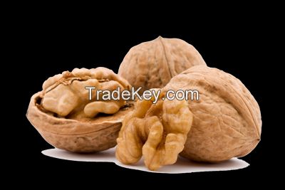 Walnut