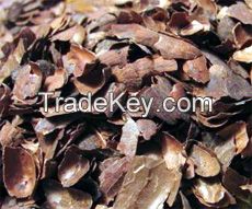 Cocoa Shell