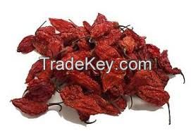 Fresh Dried Red Chilli For Sale With Good Price