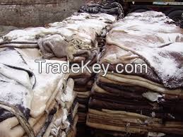 Dry and Wet Salted Donkey/Horse hide /Wet Cow Hides .