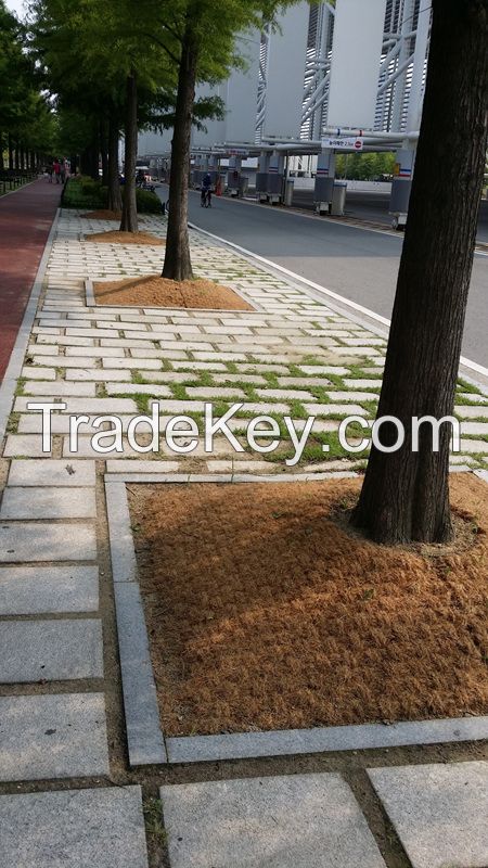 COIR MAT FROM VIET NAM, GOOD QUALITY-BEST PRICE