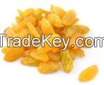 Golden Raisins (kalifar, objush)