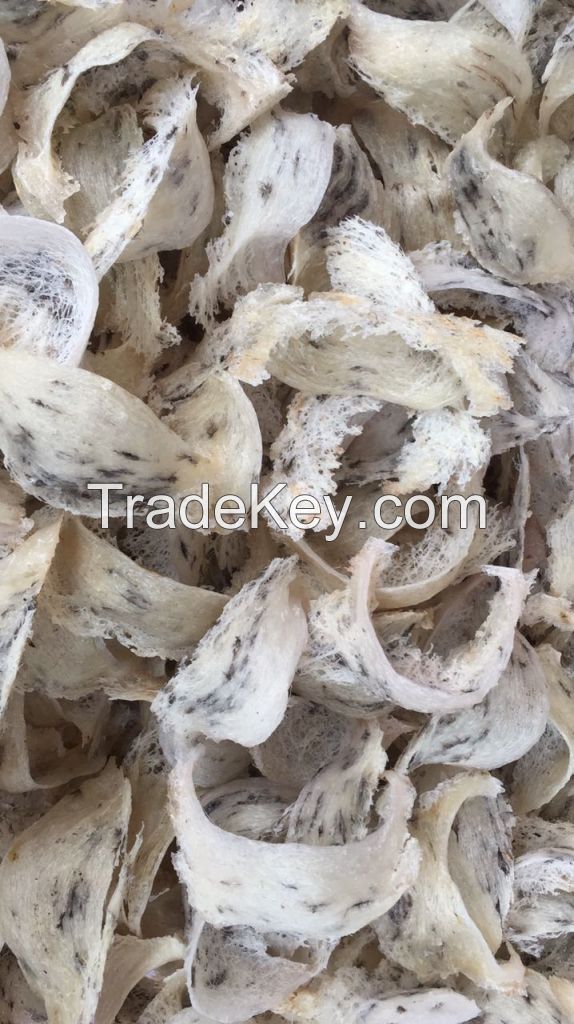 100% Pure Natural Raw House Swallow Bird Nest