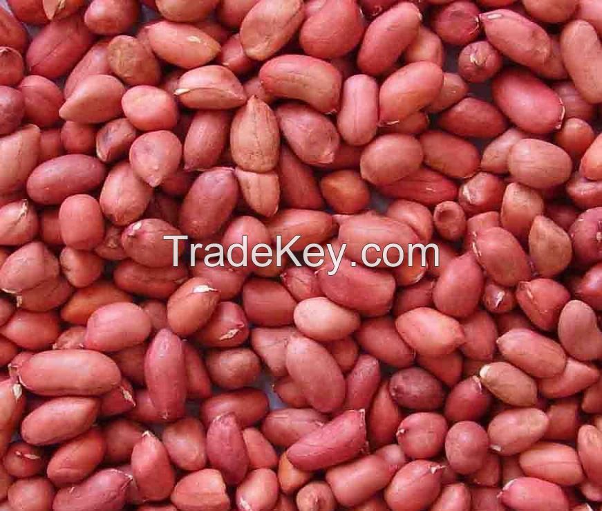 PEANUTS KERNEL RED SKIN - CROP year 2017