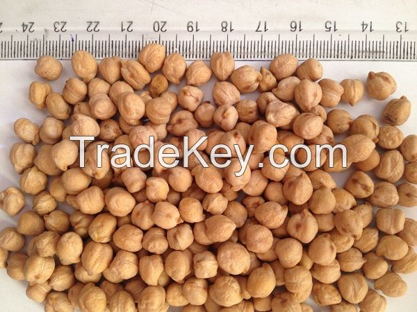 Kabuli Chickpeas