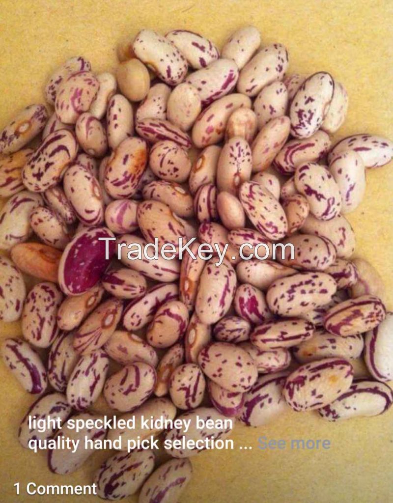 Light Speckled Kidney Beans