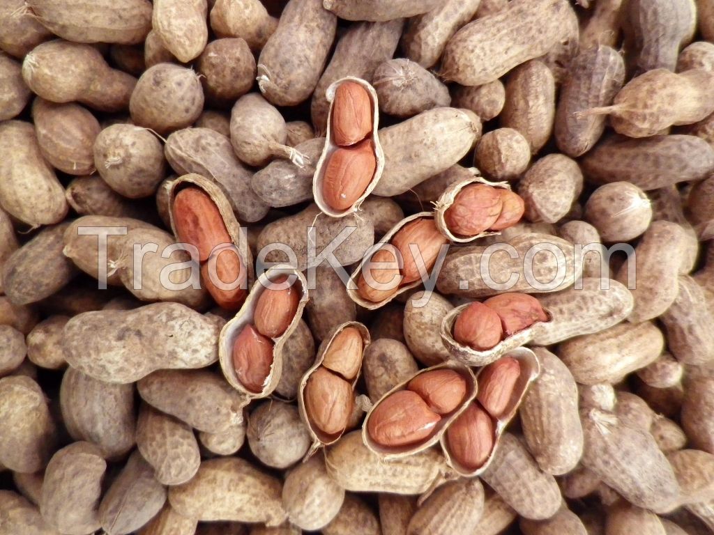 Reddish Peanuts