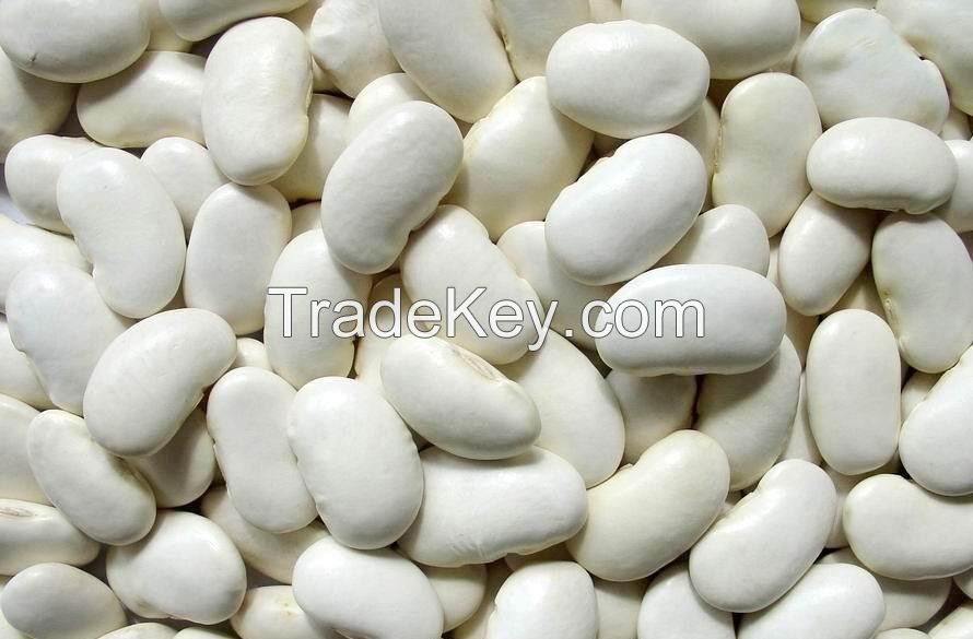 White Kidney Beans