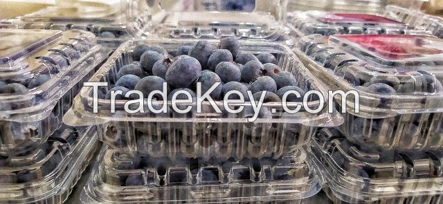 Fresh Blueberries from Peru