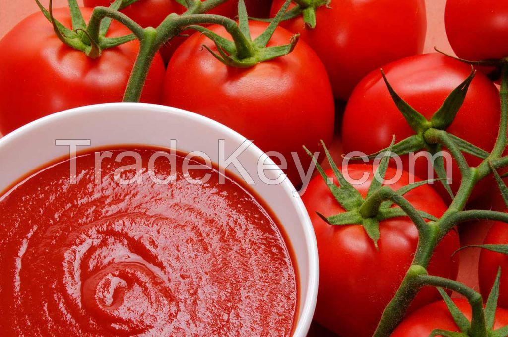 Tomato paste