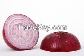 Fair Play fresh red onion