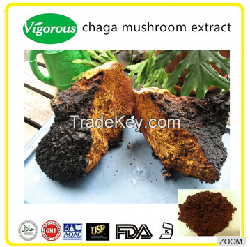 chaga mushroom extract / inonotus obliquus p.e. / triterpenoid extract powder 30% polysaccharides/1% triterpenoid