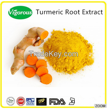 Turmeric root extract powder 95% curcumin/ curcumin/ curcumin powder