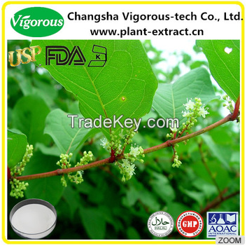 Manufacturer supply giant knotweed extract/20%,50%,98% Resveratrol giant knotweed extract powder