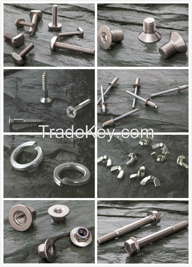 Fasteners Bolt Nuts, Screw, Washers, non-standard special fasteners