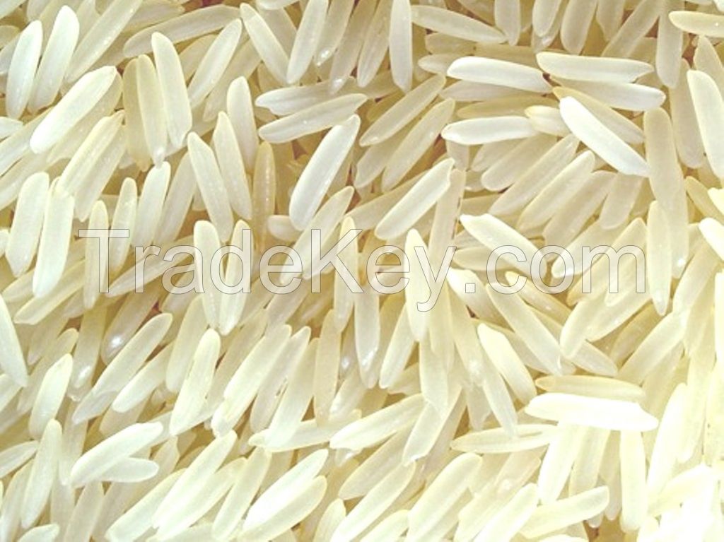 Basmati rice 1121 and non Basmati rice