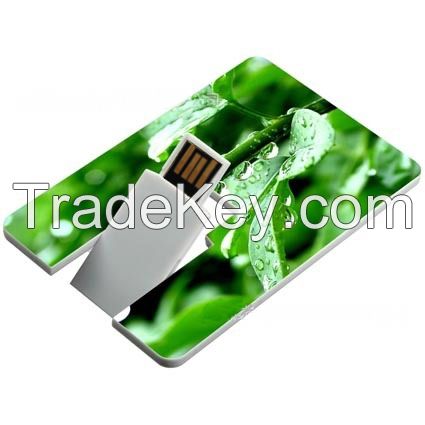 Customzed Logo Name and Credit Card USB Flash Drive 8GB USB Flash Card USB Flash Drive available