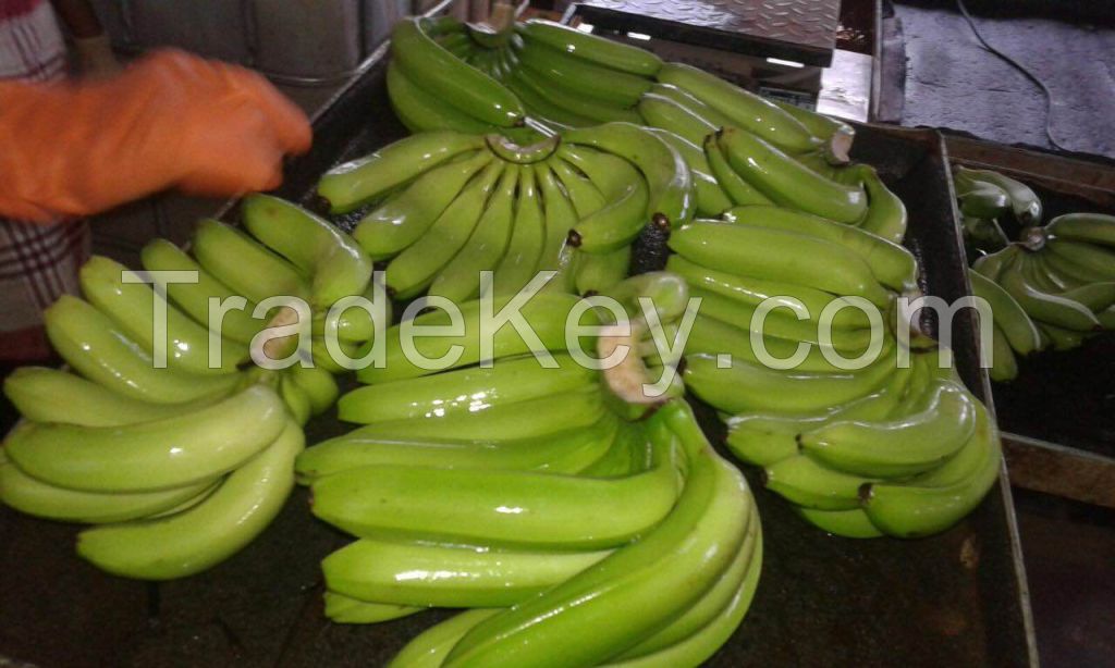 Fresh Cavendish Banana