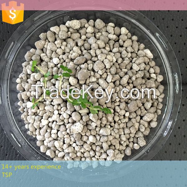 Agriculture grade triple super phosphate fertilizer TSP