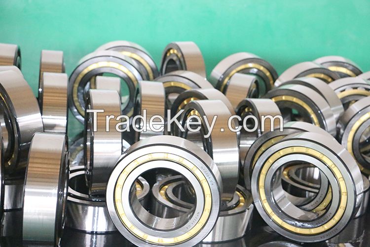 NF2224C4 Cylindrical Roller Bearing