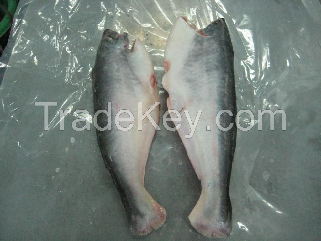 Pangasius fish (Basa, Tra)