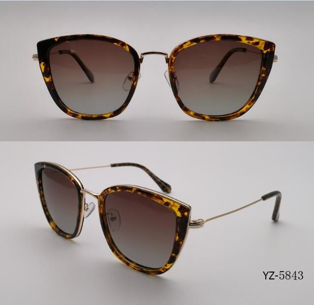 Eyewear with High Quality Sunglasses Customized OEM (YZ-5843)
