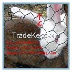 PVC Coated Galvanized Hexagonal Steel Chicken Wire Mesh Netting for Farm,Coops