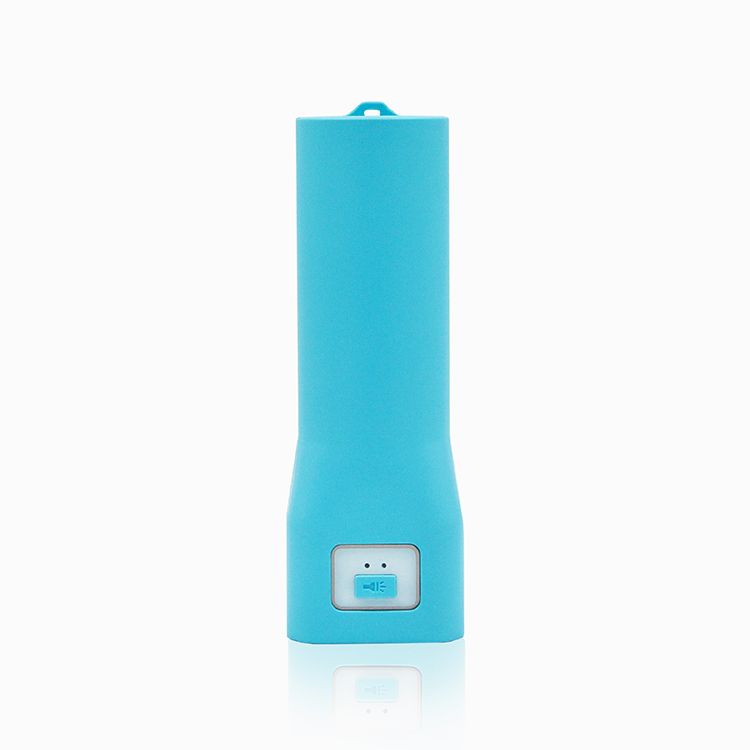 Power Bank With Led Torch Light