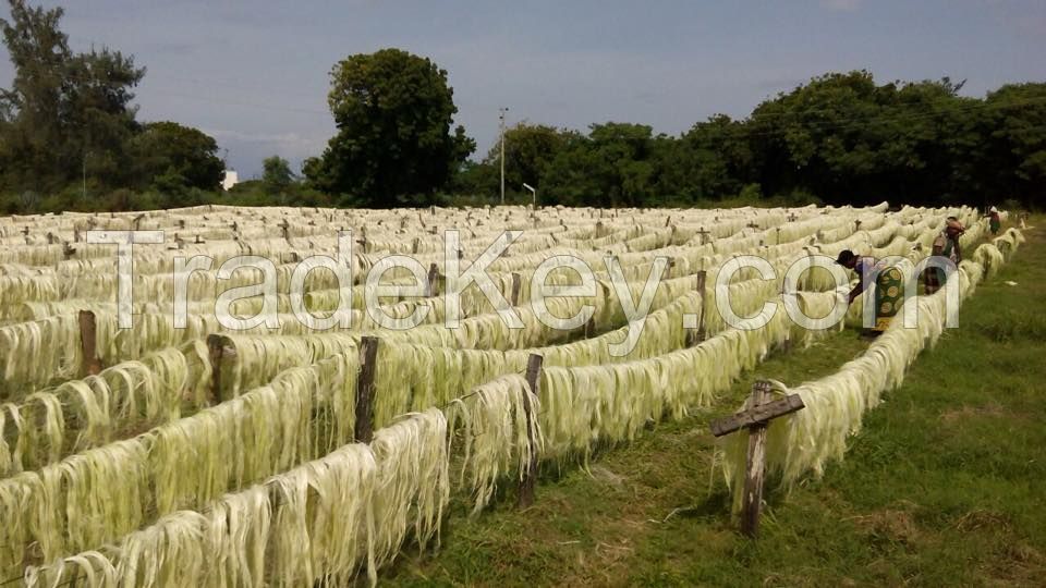 UG Grade Sisal Fiber Sisal Fiber