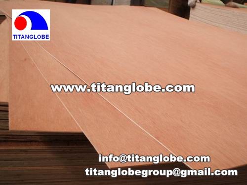 Thin Plywood