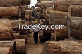 100% QUALITY TIMBER  ALL SPECIFICATION FOR SALE