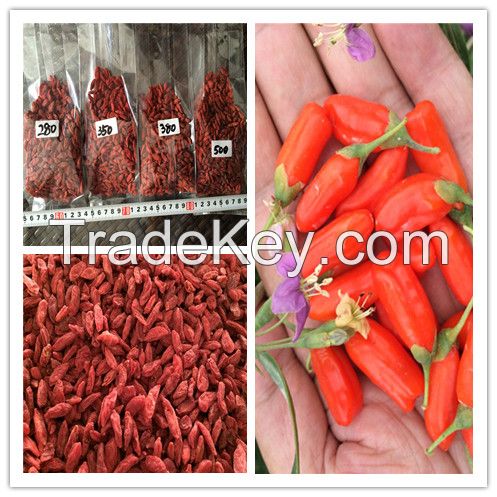 Conventional Dried Goji