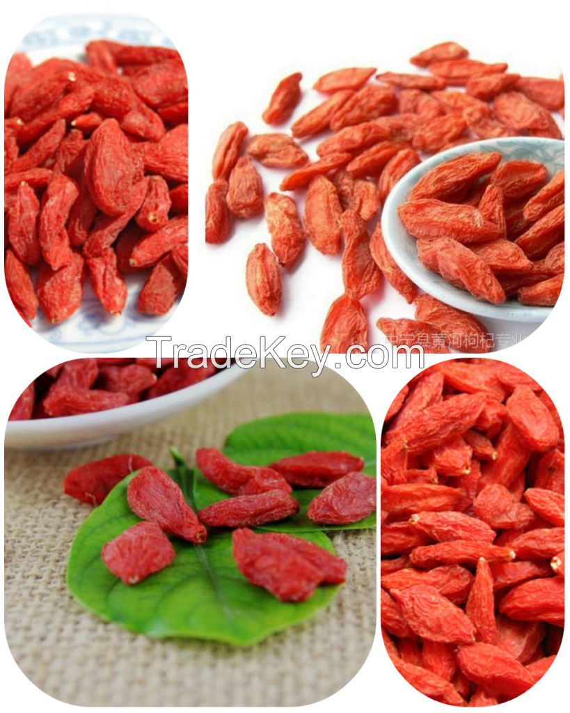 Conventional Dried Goji