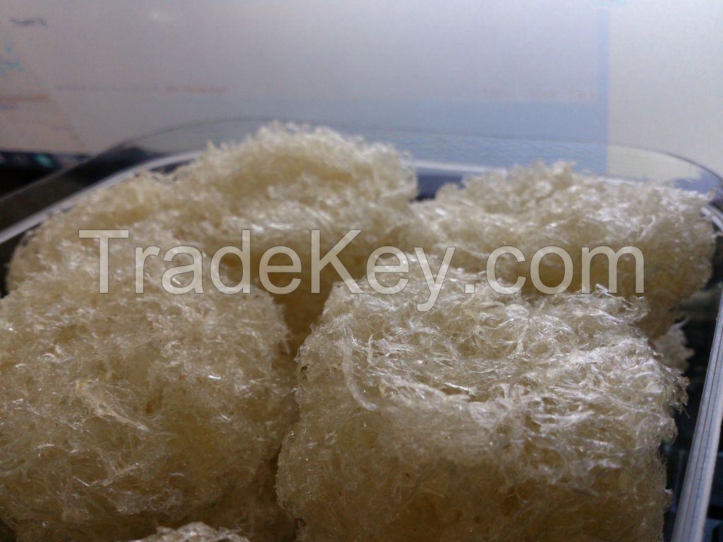 Bird Nest Supplier