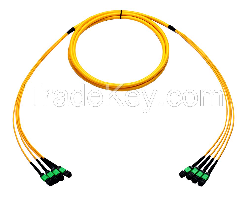 MTP/MPO Trunk Cable Assemblies