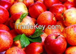 Fresh Apple Fruit