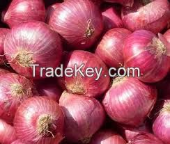 Fresh Onions For Sale 