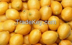 Fresh Lemon For Sale 