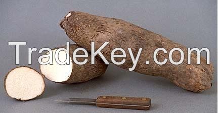 Premium Quality African Yam Tubers