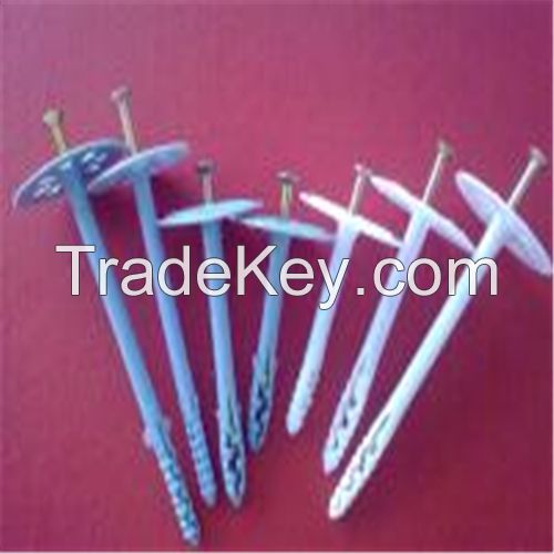 Heat Preservation Nail/Insulation Fixing Nail